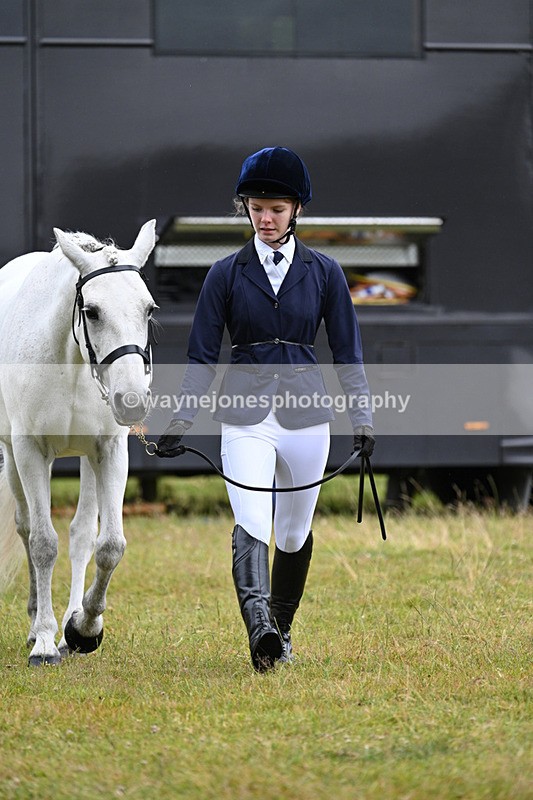 WJ7_6122 - Class 4a Prettiest Mare over 14hh