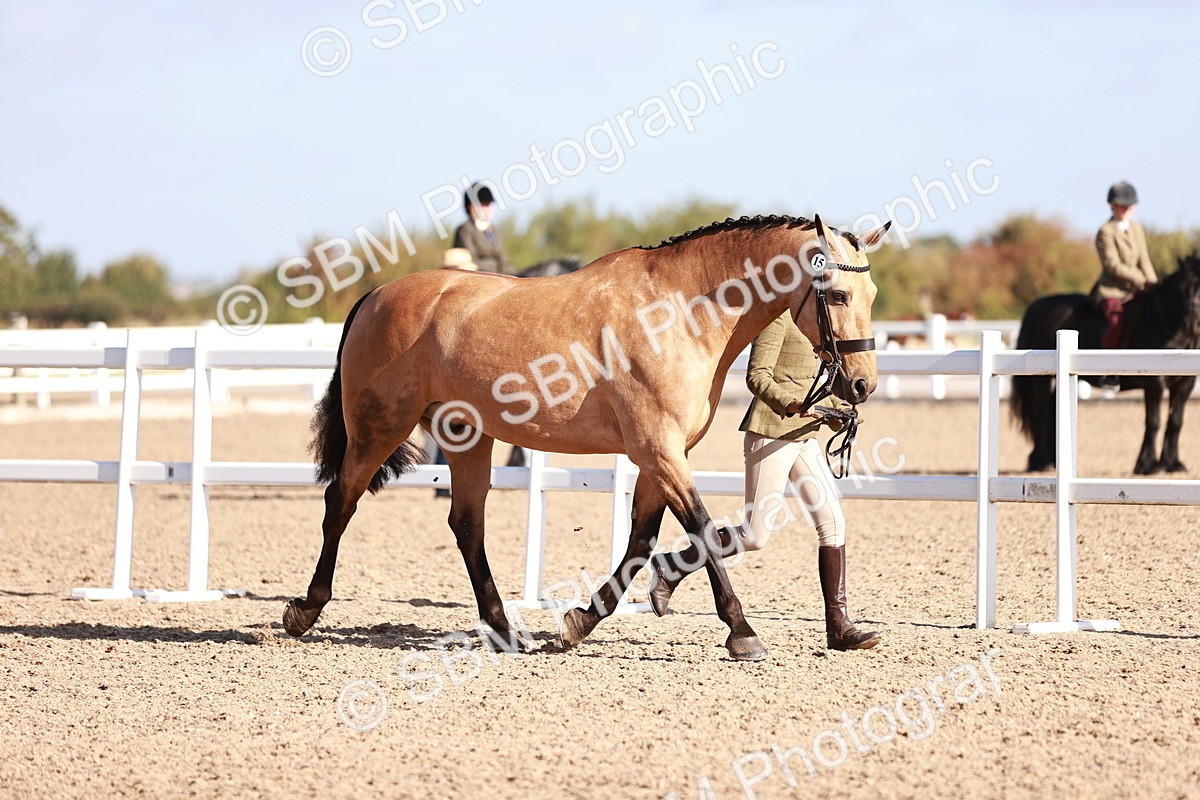 SBM_22057 - Class 703 - IH Coloured