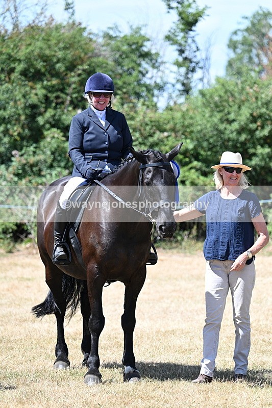 WJ7_3181 - Class 7 Riding Club Show Horse