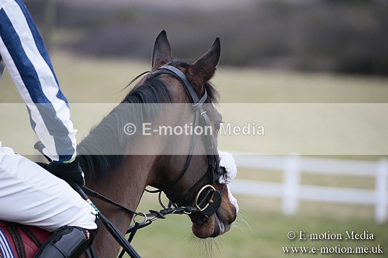 PtP 180218 701 - Combined Services Point-to-Point Larkhill 18/02/18