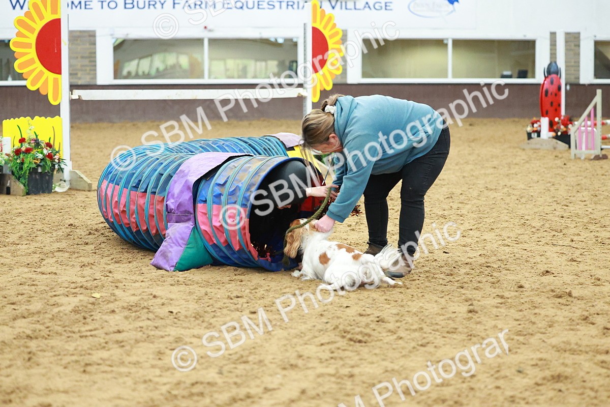 SBM_002540 - Class 3 - Horse & Hound (60cm)