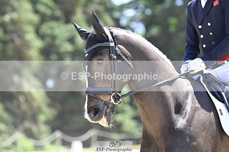 250522A-135459-04193 - D-404-Tom.Jackson-PLOT.TWIST.B