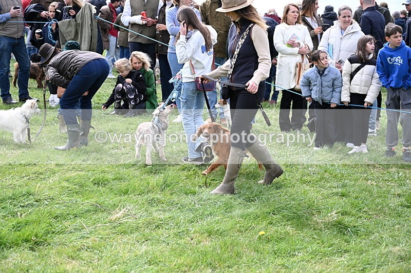 WJ6_8298 - Class 4 Prettiest Bitch