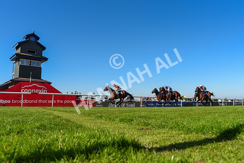 130525-Race 6-Analogical-4405 - Race 6