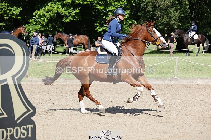 240615-094313-00319 - Cls 1 Snr British Novice and 90cm Open