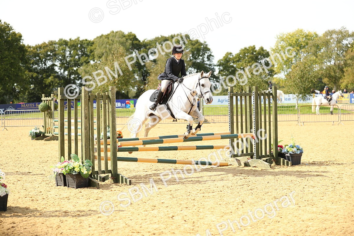 SBM_67337 - J17 - Junior Pony 80cm Championship