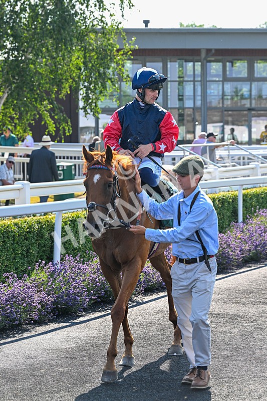 150726-Race 6-Our Absent Friends-3754 - Race 6 16.40pm Racing Again 22nd July Handicap