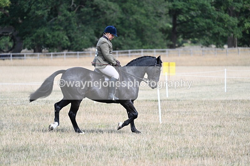 WJ7_6117 - Class 13 Ridden Veterans