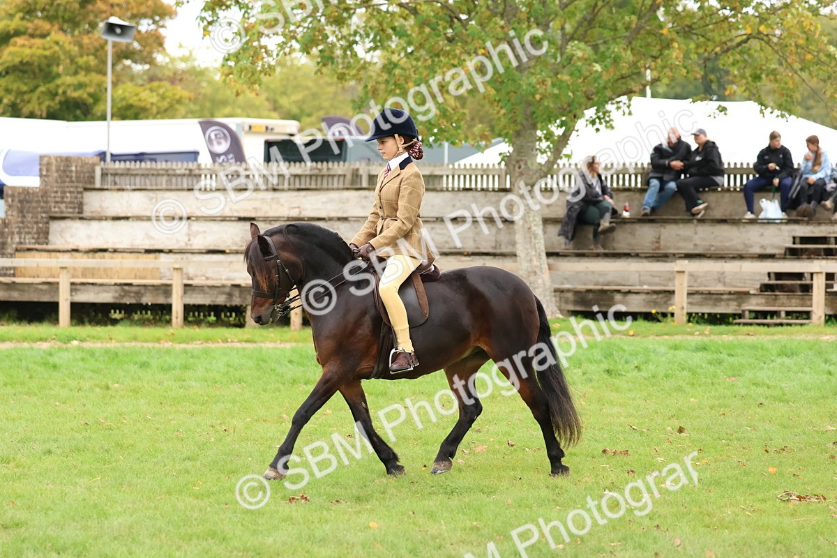 SBM_67429 - S61 - Mountain & Moorland Ridden