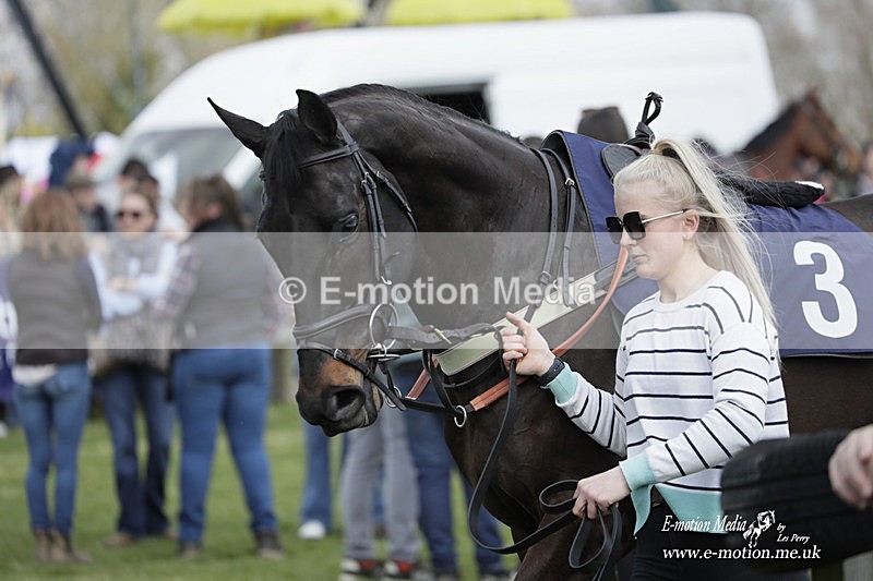 PtP 080423 001 - Dingley Races The Woodland Pytchley Hunt PtP 08/04/23