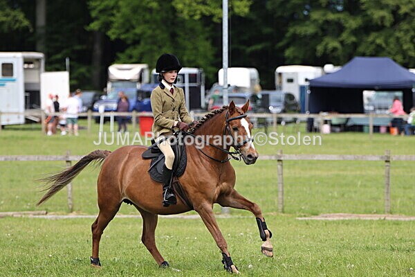 IMG_2998 - Working Hunter