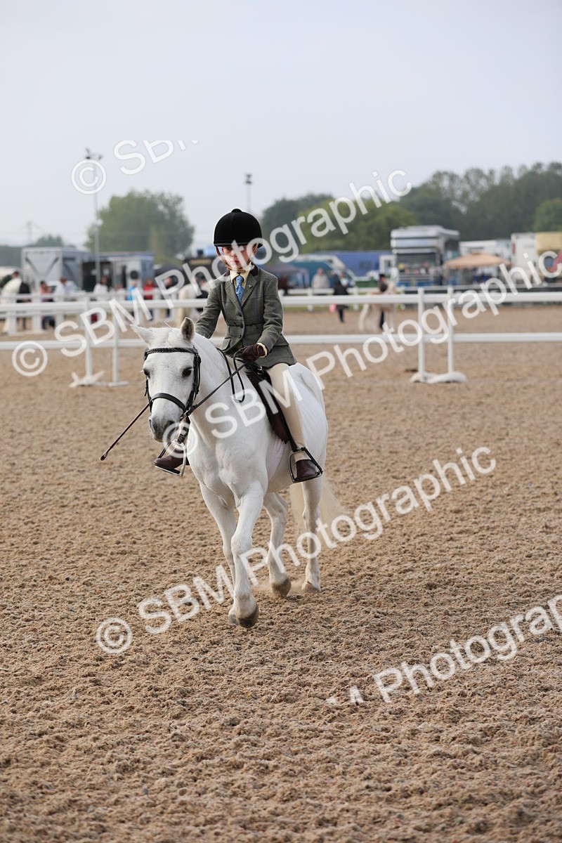 SBM_09649 - Class 301 Ridden M&M -Small Breeds