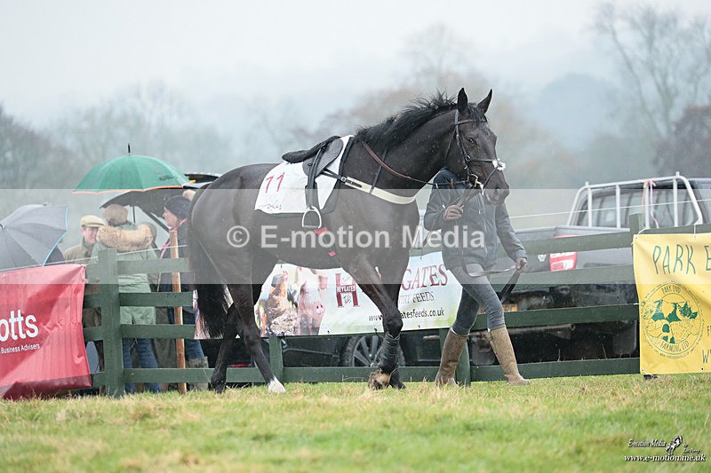 PtP 100324 465 - Pytchley with Woodland Point-to-Point Guilsborough 10/03/24