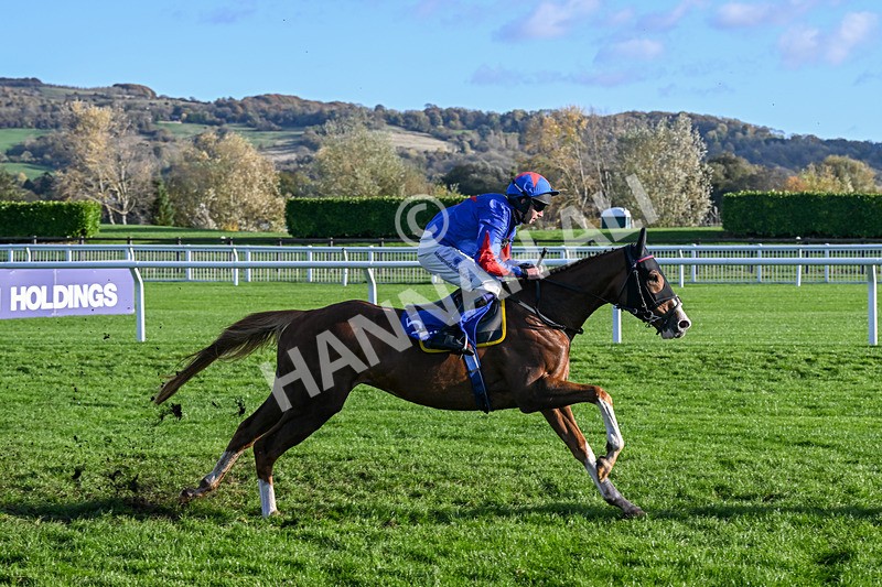 251025-Race 5-The Egyptian Ginge-9521 - Race 5