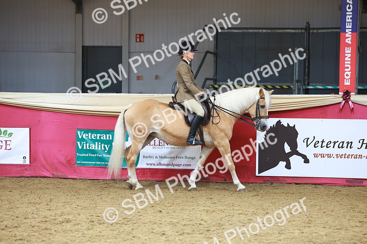 SBM_09588 - Class 102 - HOYS Veteran Qualifier - Ridden Veteran