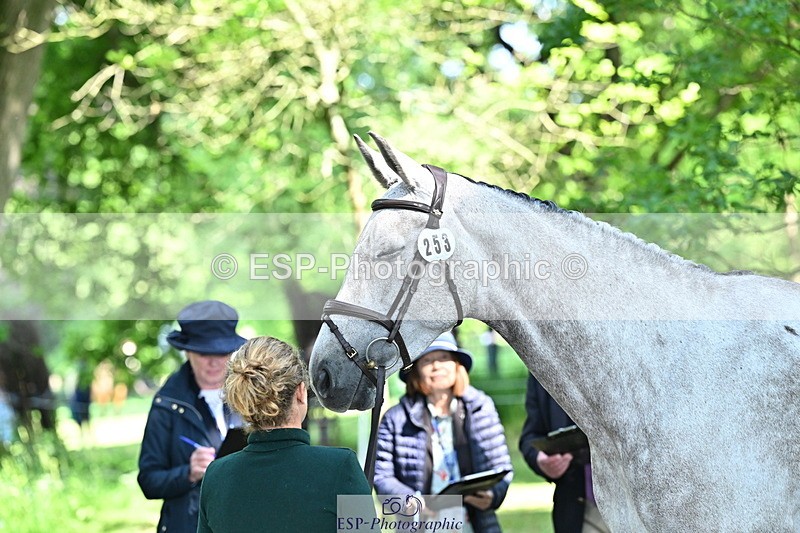 250521A-160406-00897 - C-253-Kirsty.Chabert-GLOBAL.EMPRESS