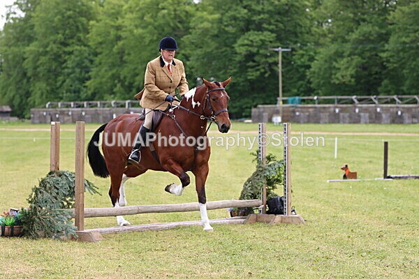 IMG_2777 - Working Hunter