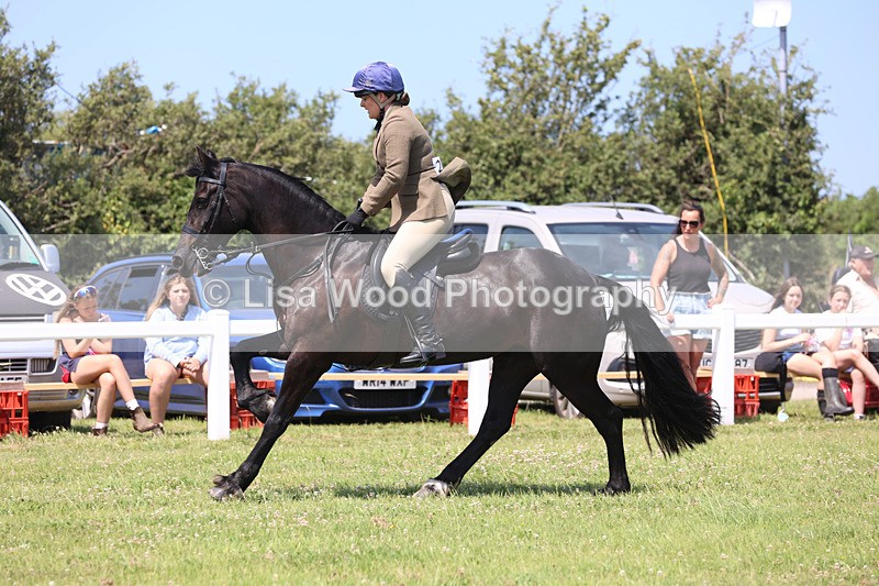 JPP_2559 - Class 21: Working Hunter 60cm