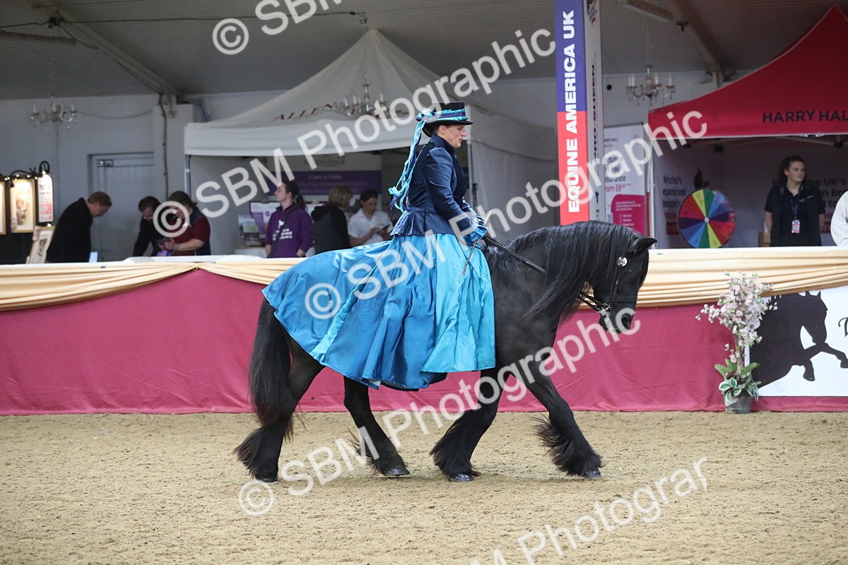 SBM_12114 - Class 107 Ridden Costume- Astride Adult (20+)