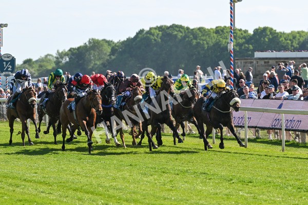 140525-Race 5-Rare Change-2709 - Race 5 4.18pm Conundrum HR Consulting Handicap