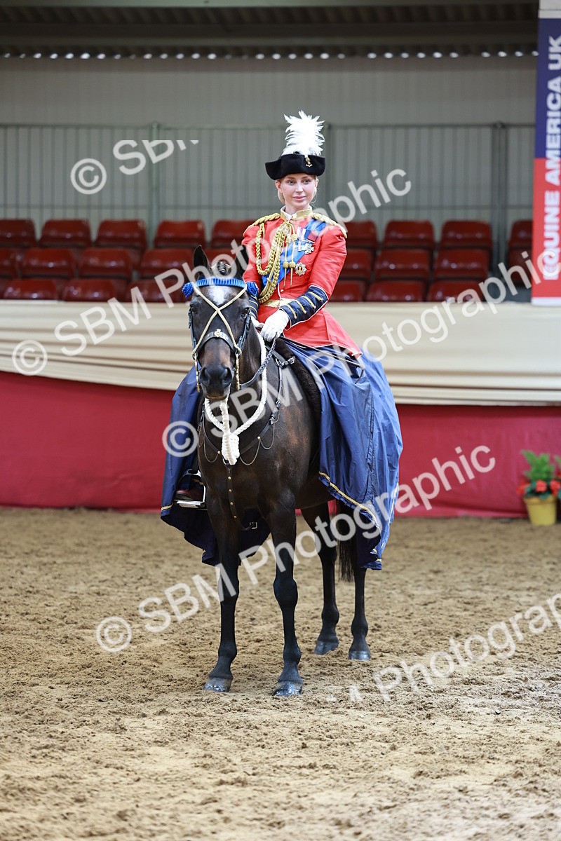 SBM_14829 - Class 107 - Ridden Costume - Astride Adult  (20+)