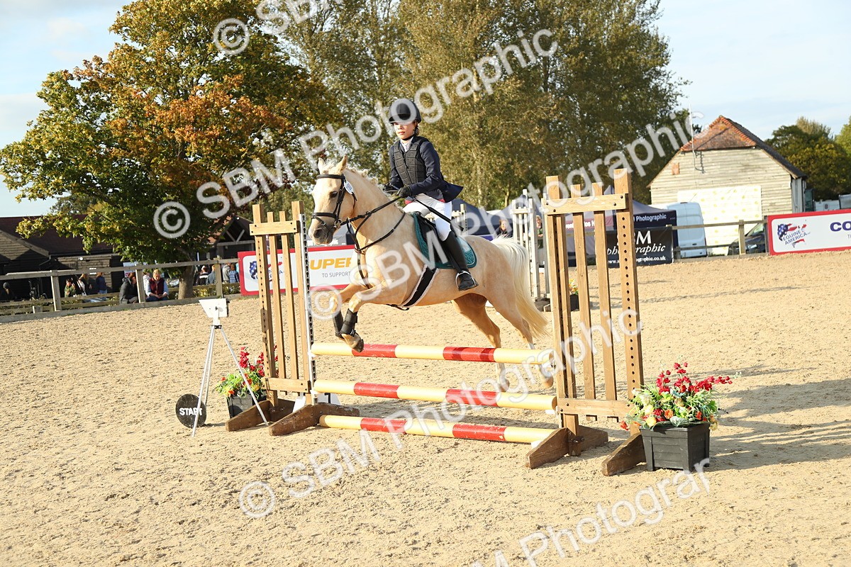 SBM_53596 - J8 - Junior Pony 65cm Championship