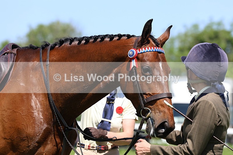 3E7A7541 - Class 31: Working Hunter Cob/Riding Horse
