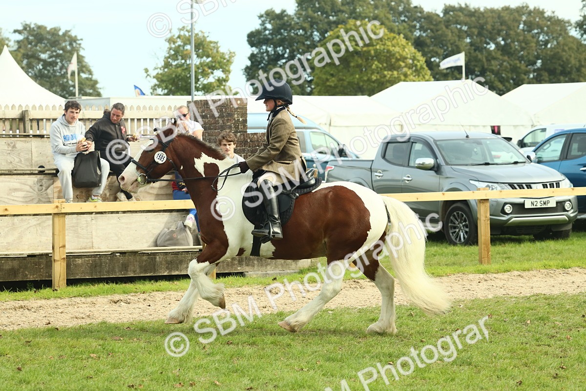SBM_68240 - S58 - Mini Show Cob Ridden