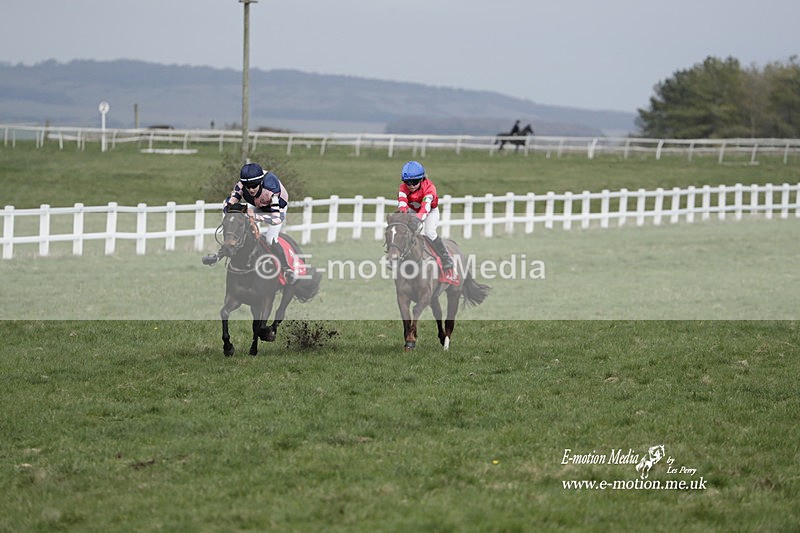 PtP 260323 1004 - New Forest Hounds Point-to-Point Larkhill 26/03/23