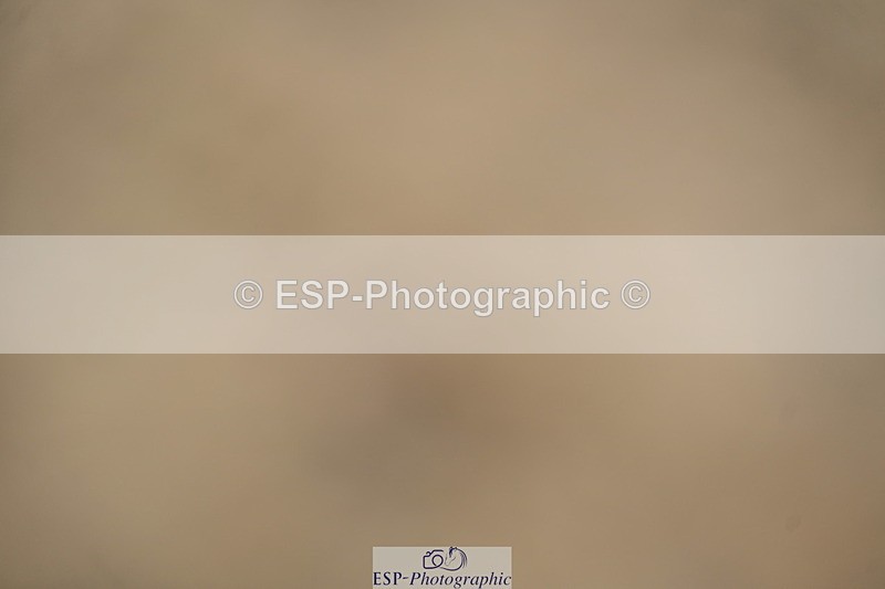 251026A-124408-24541 - 100 Presentations