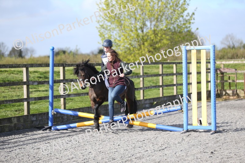 20260412-0045 - Show Jumping