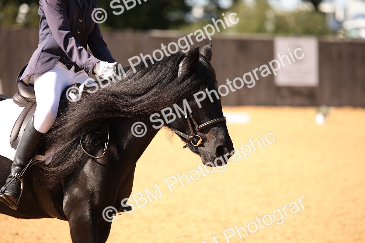 SBM_24175 - D5 - Small Tour Championship - Intro C