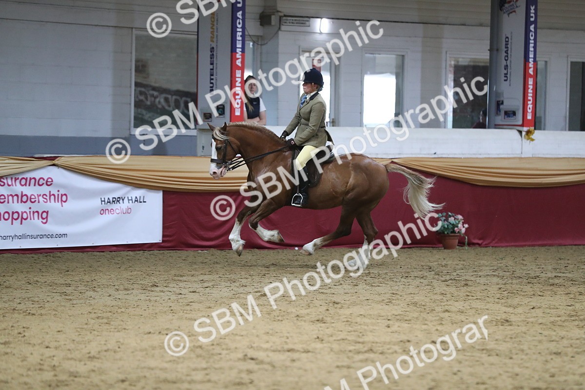 SBM_08414 - Class 11R Regional Ridden Veteran