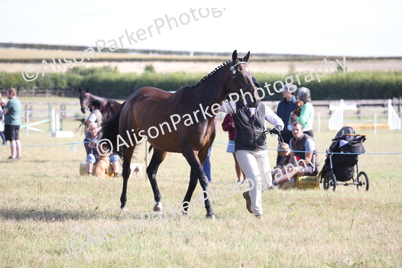 20260906-0693 - Class 22 - Ex Racehorse