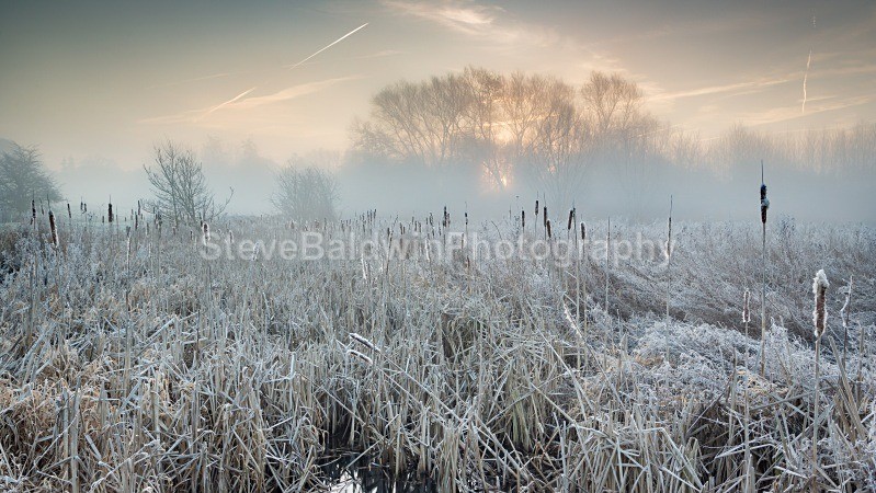 Winter Sunrise Panshanger:135E - Earth: Close to Home