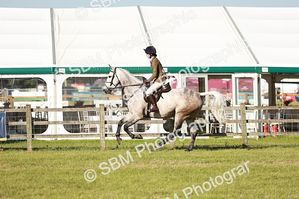 SBM_20006 - Class 115-116 - LIHS BSHA Rising Star Working Hunter & Show Horse