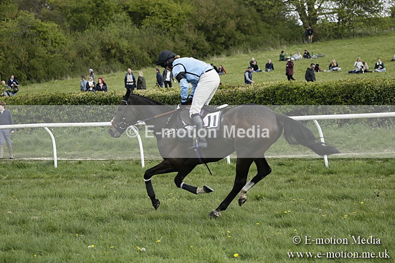 PtP 170417 389 - Old Berks Point-to-Point Lockinge 17/04/17