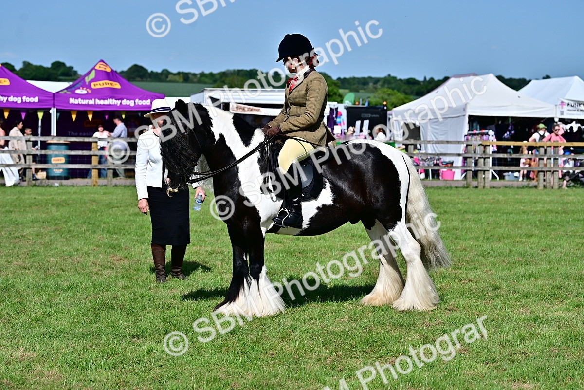 SBM_09369 - Class 63-65 - Traditional Gypsy Cobs In Hand & Ridden