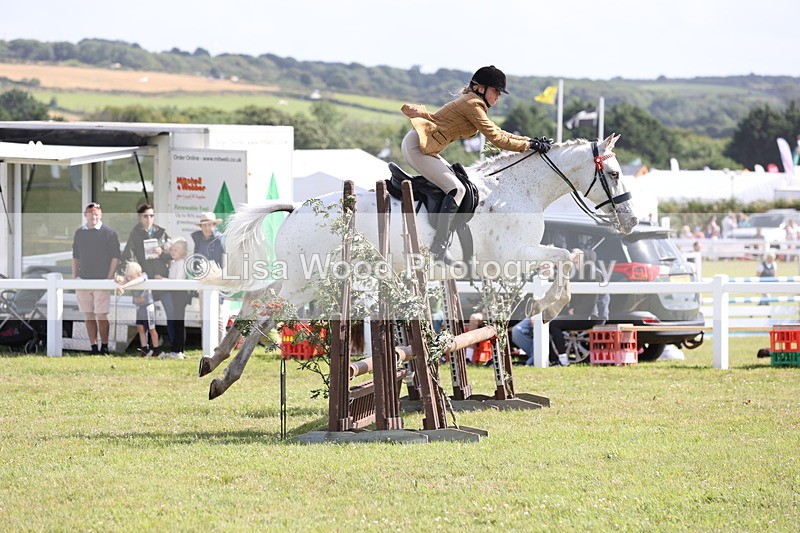 JPP_2508 - Class 20: Working Hunter 70cm