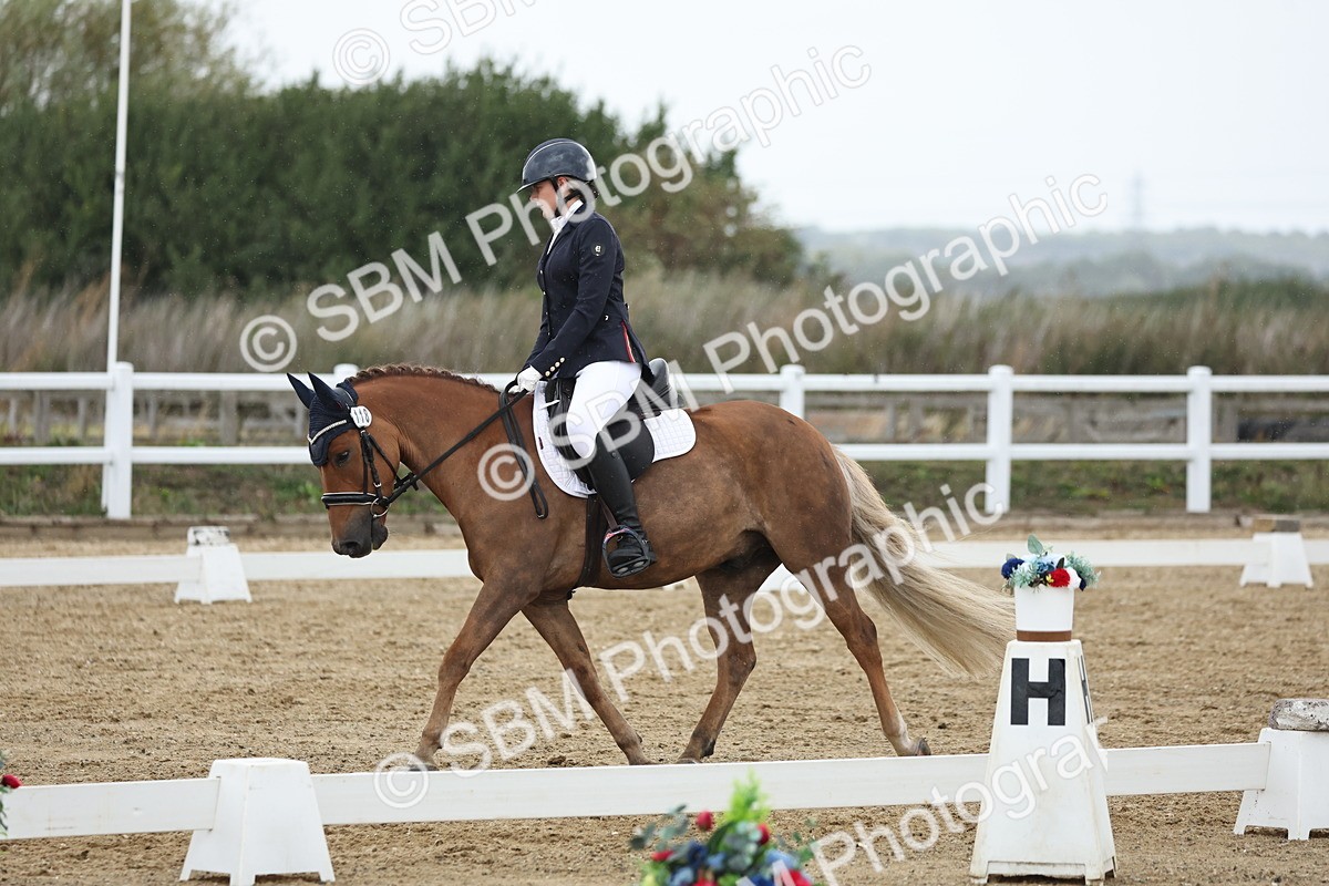 SBM_004321 - Class 8 - Novice 3 Champs