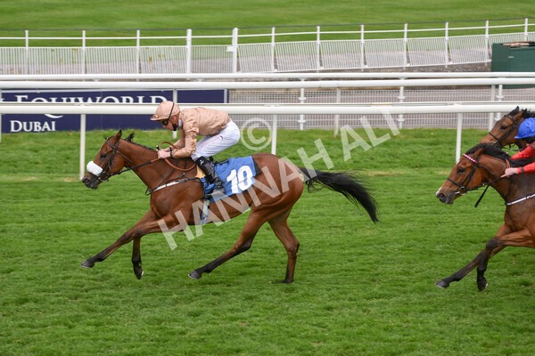 yr14052021r1-28 - Race 1 1.40pm Langleys Solicitors British EBF Marygate Fillies' Stakes