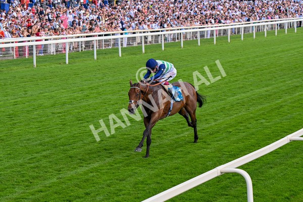 280625-Race 5-Turquino-0473 - Race 5 4.15pm Al Basti Equiworld Dubai Handicap
