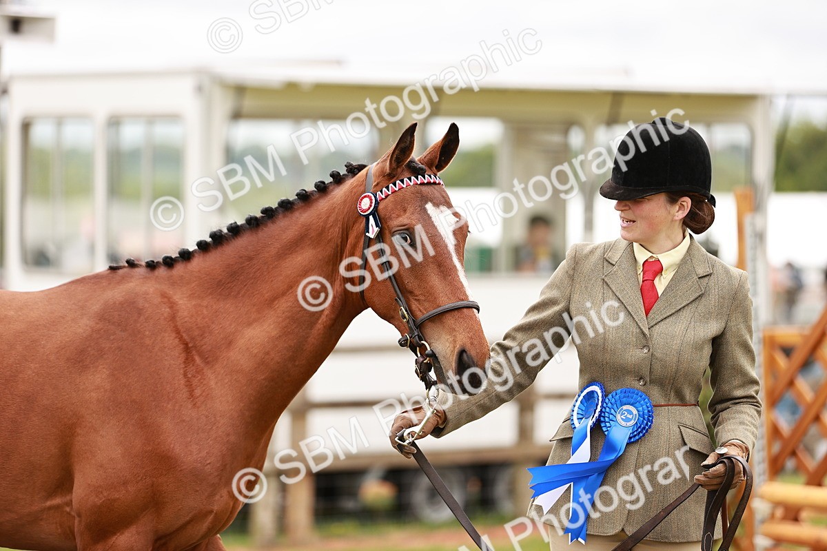 SBM_04793 - Class 35-38 Riding Horse Breeding
