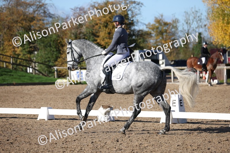 20251102-0815 - Class 5 - Elementary 5