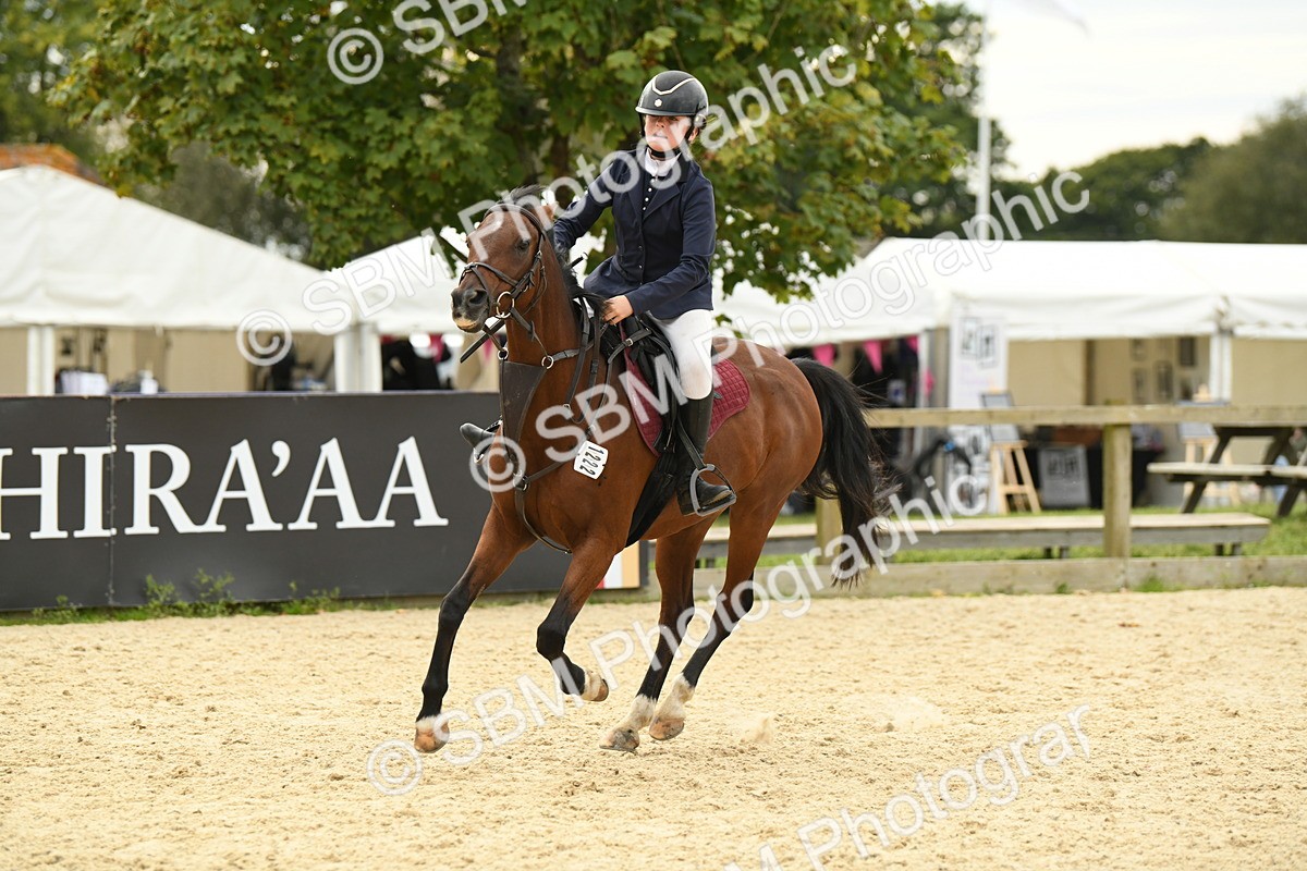 SBM_75705 - Supreme Championship