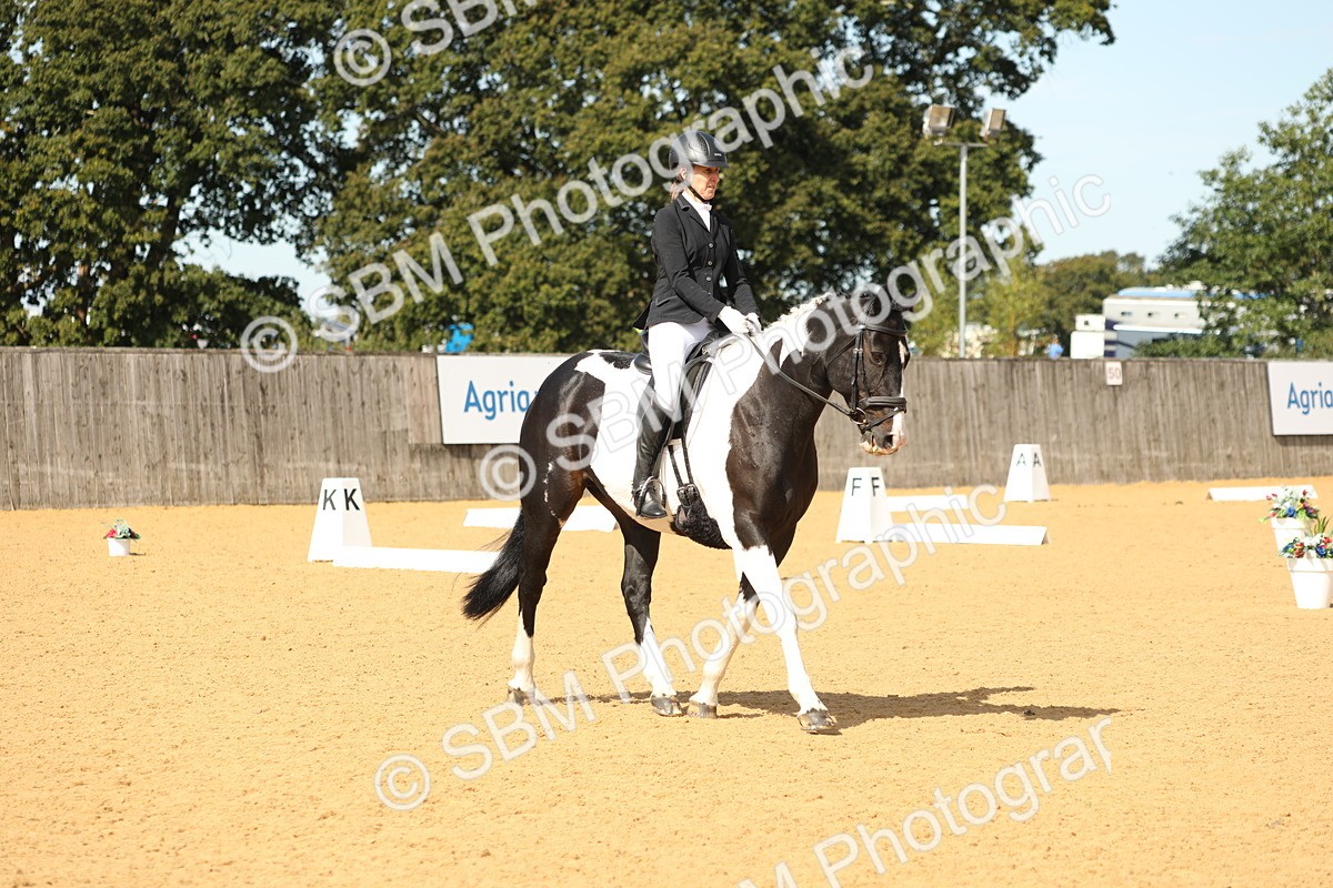 SBM_22179 - D17 - Grand Tour Championship - Novice 27