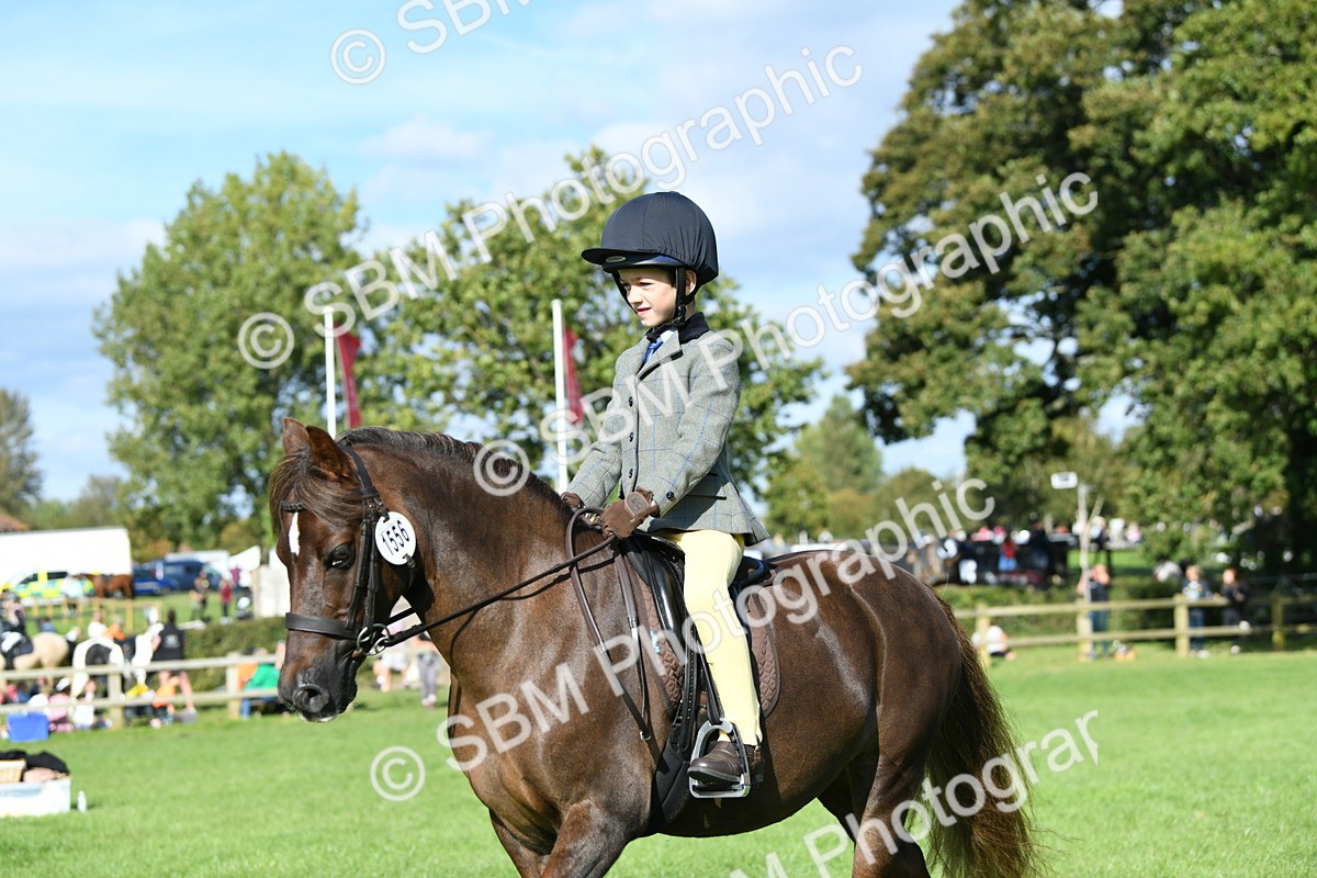 SBM_50411 - S21 - Novice & Newcomers 1st Ridden Pony