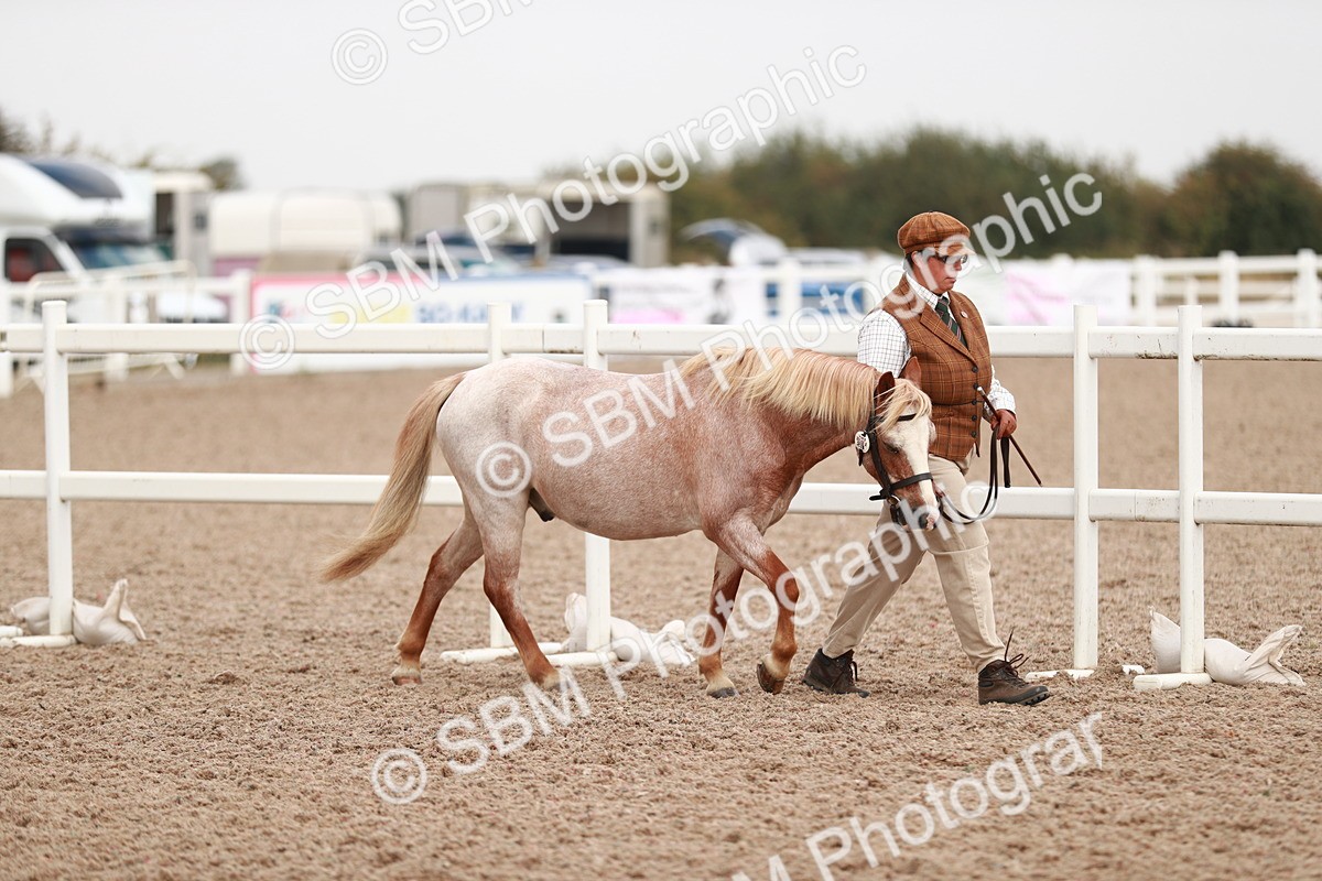 SBM_12405 - Class 207 IH M&M