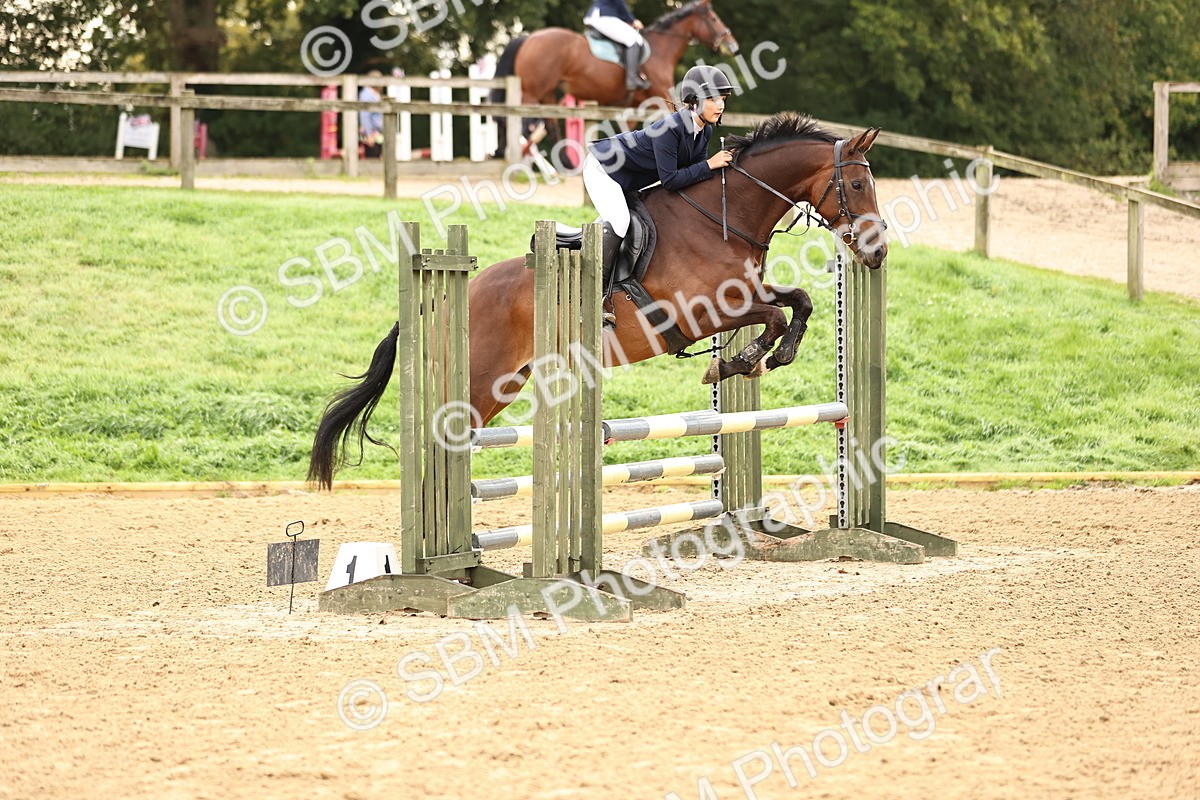 SBM_58355 - J41 - Grand Tour Horse & Pony 95cm