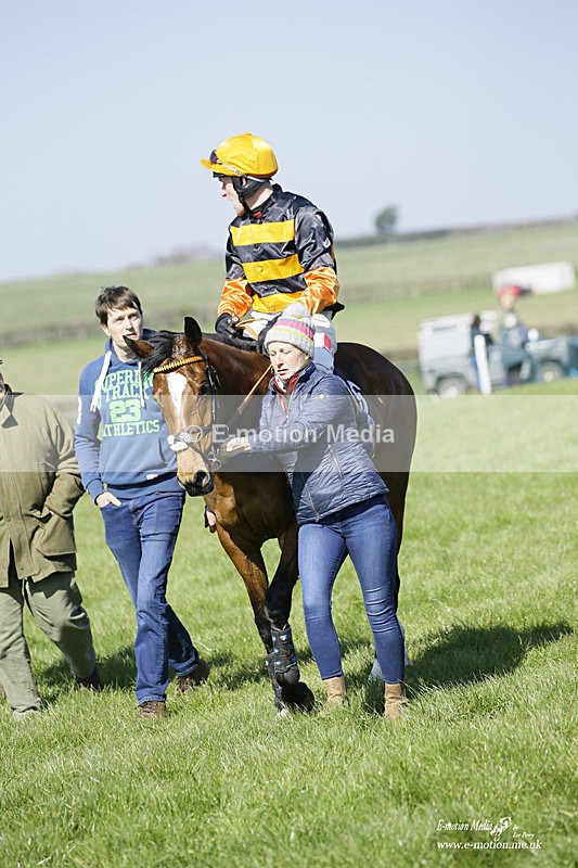 PtP 190322 246 - Wilton Hunt PtP Milborne St Andrew 19/03/22
